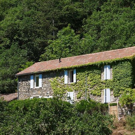 Brusque Les Jardins De Lumiere B&B 외부 사진