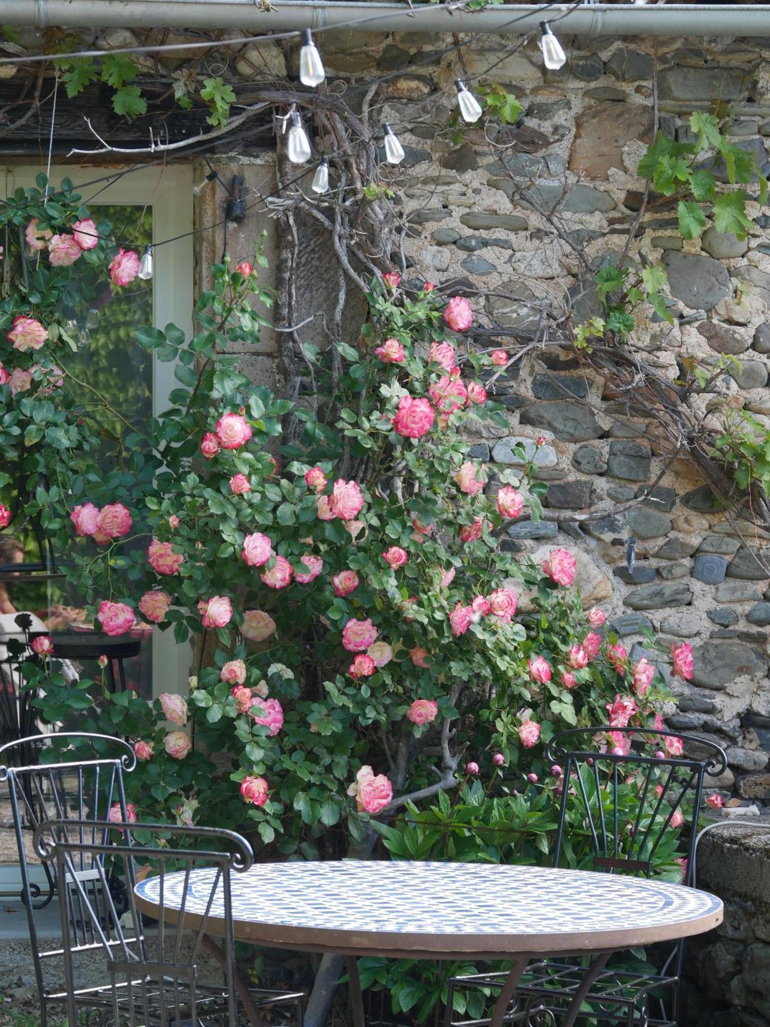 Brusque Les Jardins De Lumiere B&B 외부 사진