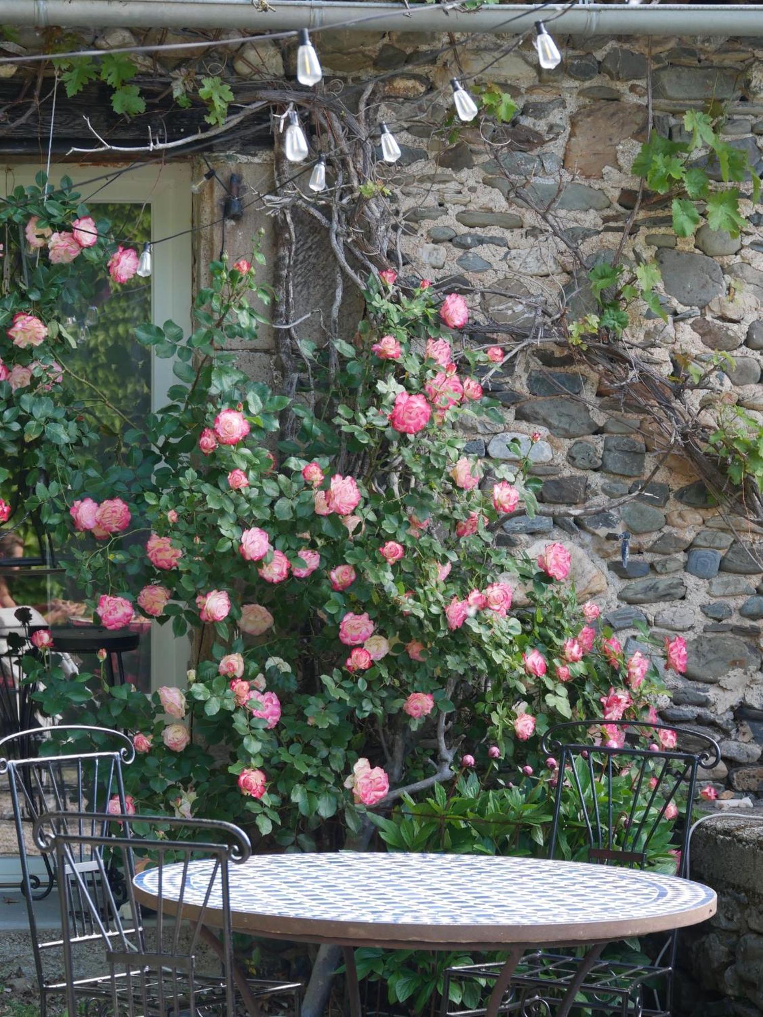 Brusque Les Jardins De Lumiere B&B 외부 사진